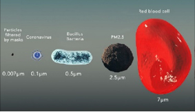 a diagram of particles that is filtered by a facemask: Red Blood Cell, PM2.5, Bacillius Bacteria, and Coronavirus